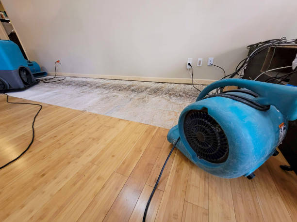 Professional Emergency Water Damage technician working in Walnut Grove, GA